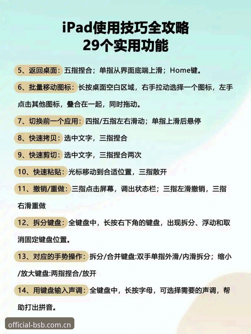 BSB操作指南 BSB操作指南全面解析:从下载到实战的专业操作流程与深度分析